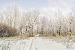 Белым-бело / Зима в городском парке