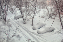 Под белым покрывалом января / Такого снегопада давно не знали здешние места