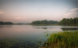 Рифма утреннего света / Раннее утро на лесном озере