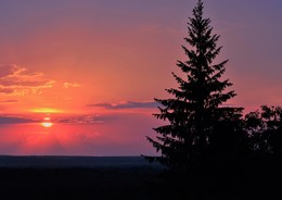 &quot;Я сегодня влюблен в этот вечер...&quot; / &quot;Тянусь к теплу, вдыхаю мягкость хлеба
 И с хруптом мысленно кусаю огурцы,
 За ровной гладью вздрогнувшее небо
 Выводит облако из стойла под уздцы...&quot;
 С.Есенин