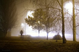 Смысловые галлюцинации / Новогодний туман