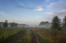 По дороге лета. / ***