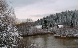 Первый снег в тайге / Это фото у меня купили на календарь
