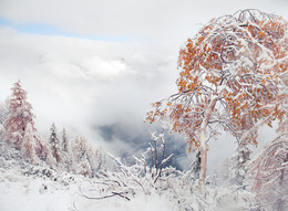 Одиноко- холодно. / https://mikhaliuk.com/Alps-The-best-photos-in-2015