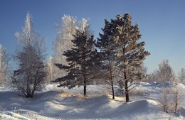 В свете дня. / ***