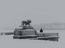 Человек и Лев / Питер, январь, 2016, на улице -20