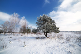 спокойствие / зима