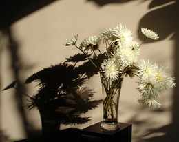 Танец света и теней. Осенние кружева / "Только стоит ли нам горевать,
Не постигшим ушедшее лето?
Видишь, осень плетёт кружева
Из наитий грядущих рассветов…"
/Ольга Артамонова/