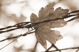 Прошлое / Тяжело представить. Но ведь было это