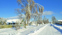 рождество / деревня зимой, собачка на дороге, солнечный день