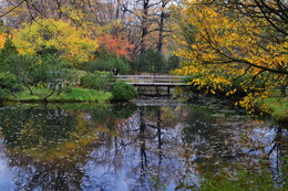В раздумьях ..... / Москва ,Ботанический сад ,Осень 2015 .