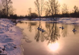 Фотоэтюд с отражением. / Подмосковная речка Уча.