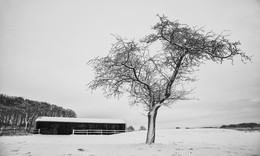 &nbsp; / Zu jeder Jahreszeit bin ich an der Rauschenburg in Olfen im Münsterland zwecks FOTOGRAFIE hier.