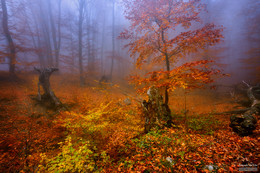 В гостях у сказки II / Демерджи