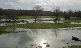 Разлившийся февраль / Опять половодье