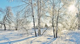 в царстве сна / снег кругом, солнце, березки в инее