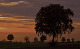 &nbsp; / Abendstimmung vor den Toren meiner Heimatstadt Olfen im Münsterland.