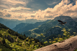 Лето в Баварии / Снято с верхней станции подъёмника на гору Йеннер, Берхтесгаден, Верхняя Бавария.
http://www.youtube.com/watch?v=5r8OZ_5RsK8
