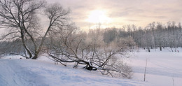 Зима и лыжник вдали... / Зима в Кузьминках...