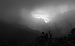 Туманный перевал / Канары, Тенерифе.