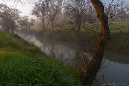 Утренний Туман / На реке Иордан (Jordan)
