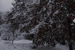 Завалило / зима