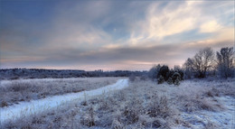 Зимняя зарисовка / Природа Беларуси
