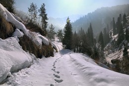 По ущелью / В горах Заилийского Алатау