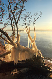 После шторма / балтийский берег