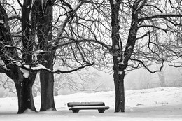 &nbsp; / Winter in der HOHEN MARK bei Dülmen. Allein war ich hier in der Natur unterwegs. Für mich strahlte dieses Motiv &quot;RUHE und STILLE&quot; aus.