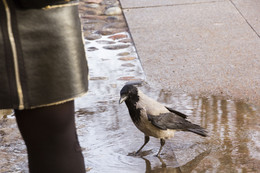 Не самый важный момент / ***