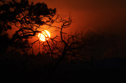 восход Ярила / ***