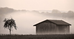  / An einem frühen Morgen bei Nebel an der Rauschenburg in Olfen im Münsterland.