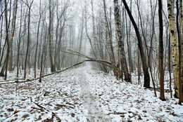Тропинка в соседнюю деревню ... / "Как грустны сумрачные дни
Беззвучной осени и хладной!
Какой истомой безотрадной
К нам в душу просятся они ..."
А.Фет