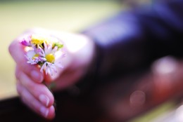 пролет / Пролетна любов !