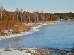 Озеро / Скоро наступит весна, поэтому в дневное время лёд на озере Старое в Орловском Полесье подтаивает, а ночью подмерзает и становится гладким как зеркало и в ясный день берега красуются в зеркале льда.