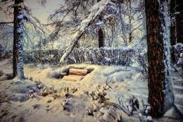 На аллее зимой. / Парк Сокольники в Москве.