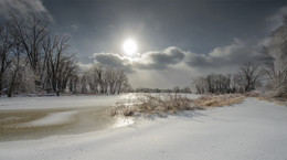 ...one warm day in February / Petrie Isl.