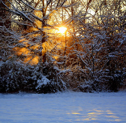 Мороз и солнце день чудесный / И в Кёльне бывает зима