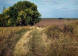 Осенняя. / пейзажик