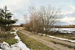 дорога на хутор / февраль, теплая погода, красиво, вечер