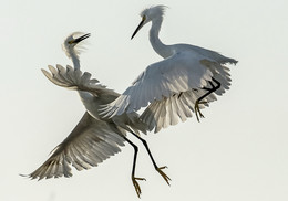 Воздушные "РАЗБОРКИ"-1 / На побережье Тихого океана