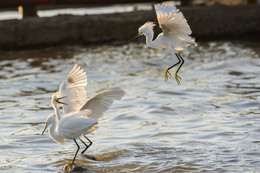 Вызов на"РАЗБОРКИ" / На Тихом океане