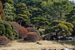 Парк / Парки Японии.Ботанический сад Коишикава