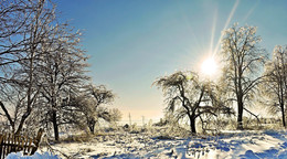 мороз и солнце / зима во всей красе, деревня, иней и снег на деревьях