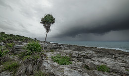 Friendly coast of Xcaret / Mexico