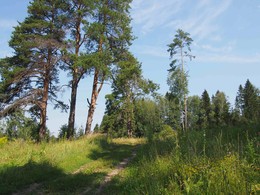 Летний день в зените / лето, полдень