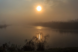 Заповедник Хула / ....