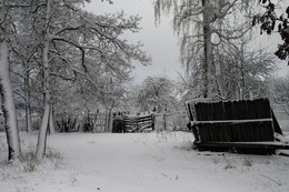 Русские дачи / зимой