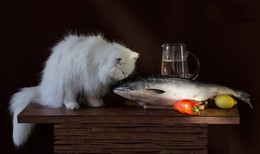 Дайте рыбе воды! / 1 марта был День кошек,а я как-то пропустила этот праздник таких милых существ,которых все(почти все)любят)Думаю,что никогда не поздно исправится...)